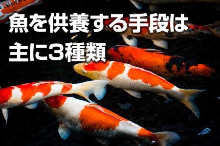 魚死掉埋葬|金魚が死んだら火葬すべき？適切な亡骸処理と供養方。